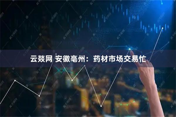 云燚网 安徽亳州：药材市场交易忙